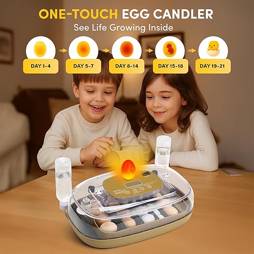 HIRALIY Incubator for Hatching Eggs, 48 Quail Capacity, Chicken & Quail Egg Incubator with Automatic Egg Turning and Humidity Control, 360° Viewing for Home, Farm, Classroom