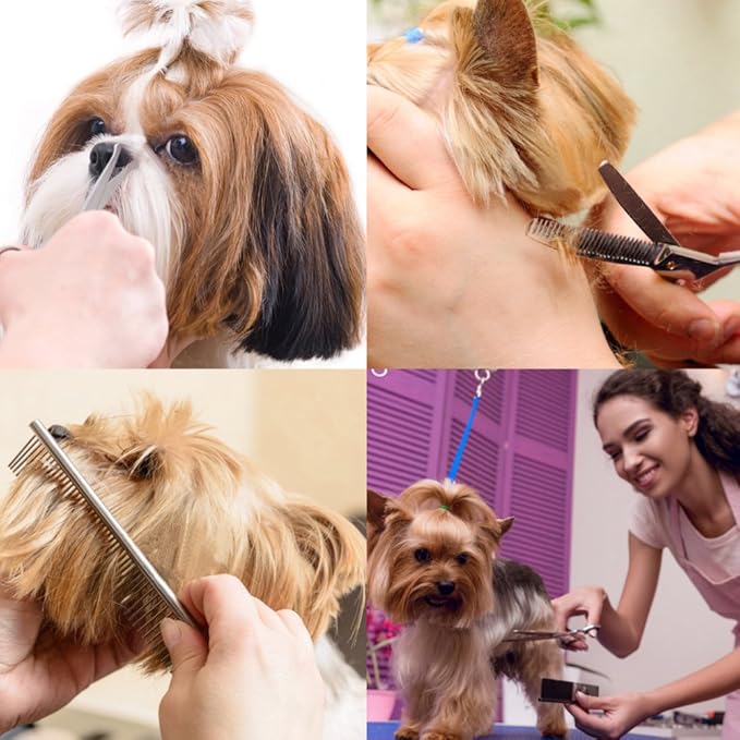 Dog Grooming Scissors Kit with Round Tip, 6 in 1 Cat Dog Scissors, Stainless Steel Pet Grooming Shears, Straight, Curved, Thinning Shears, Comb for Full Body, Face, Nose, Ear & Paw
