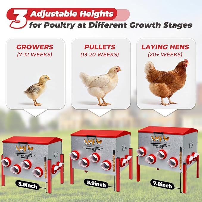 Automatic Chicken Feeder 100LBS Large Capacity, 12 Anti-Waste Ports Metal Poultry Feeder with Height Adjustable Stand, Waterproof Rodent Proof Feed Box with Lid Viewing Window for Hens Ducks Geese