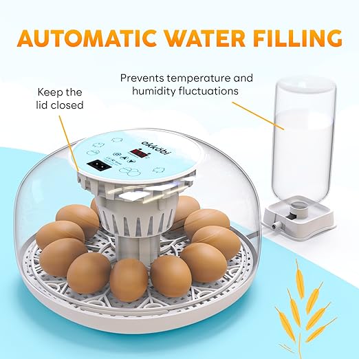 M12 Incubators for Hatching Eggs - Egg Incubator with Automatic Turner and Humidity Control - 12/24 Eggs - Incubadora de Huevos de Gallina - Easy to Use and Clean - 360° View - Blue