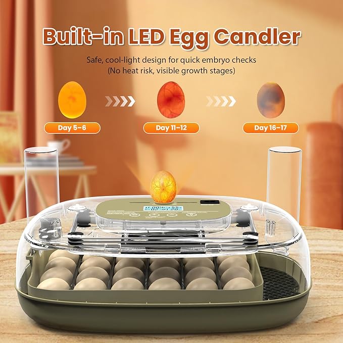 24 Egg Incubator with Humidity Display & Candler, Automatic Adjustable Turner, Temp & Humidity Control, Auto Water Refill – Large Capacity Hatcher for Chicken, Duck, Goose, Turkey, Quail
