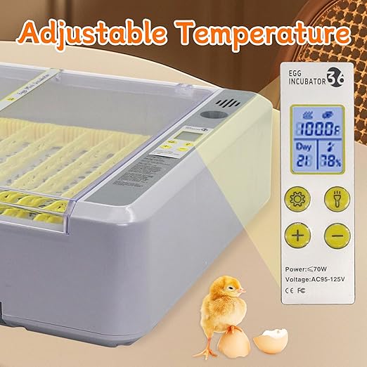 Automatic Egg Incubator, Automatic Egg Turner with Thermometer Control & Humidity Control, Egg Candler, 360°View,Incubator for Hatching Chicks-36 Egg Capacity