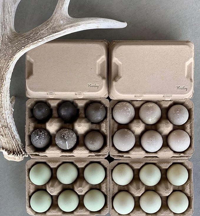 Henlay Half Dozen Duck Egg Cartons – Holds 6 Jumbo Eggs – Blank Top for Custom Labels – Eco-Friendly Paper Pulp – Ideal for Farm Fresh or Backyard Eggs - 100 Pack