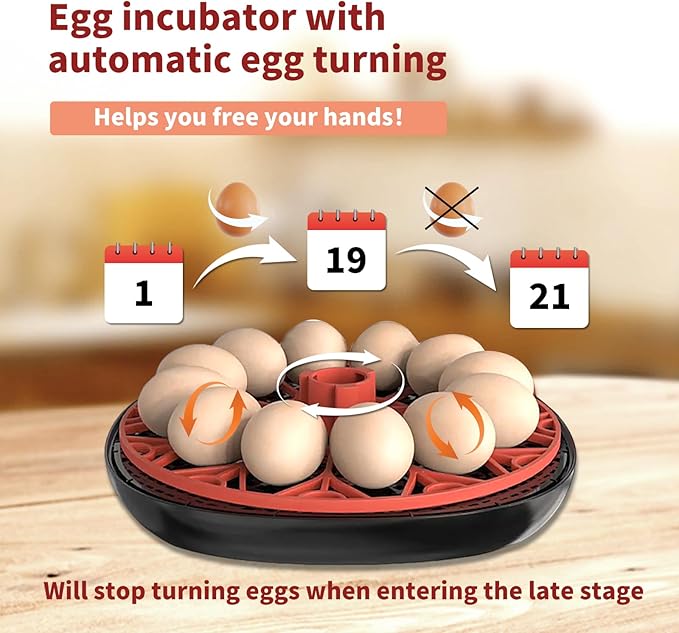 NWH 12 Egg Incubator with Temperature and Humidity Control, Adjustable Turning Time, Automatic Dual Water Bottle Refill, Candling Light, Air Vent, Incubators for Hatching Eggs, Chicken, Ducks, Goose