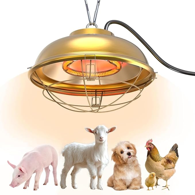 300W Heat Lamp for Chicken Coop - Waterproof Chicken Coop Heater for Indoor & Outdoor Used - Suitable for Chicken, Duck, Rabbit and Pet