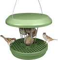 SWISSINNO Bird Feeders - No Mess Fat Ball/Suet Feeder for Outdoors Hanging - Smart Birds Lucerne Spill Proof Wild Cardinal Bird Feeder with Integrated Seed Catcher Tray - Sage