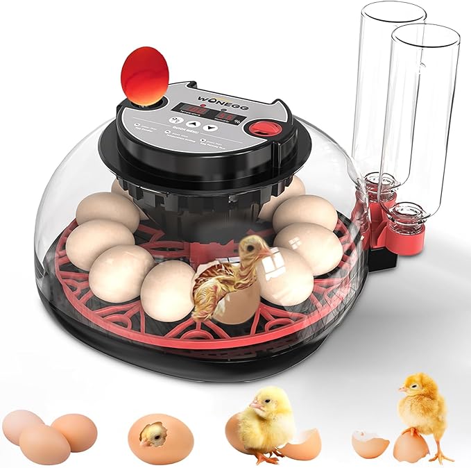 Incubators for Hatching Eggs,Chicken Egg Incubator,Egg Incubator with Automatic Turning with Temperature & Humidity Control,360° Viewing Display,Includes Egg Observation Light,12 Eggs