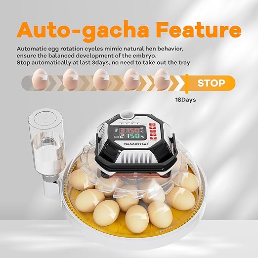 Incubators for Hatching Eggs, 12–18 Egg Capacity Digital Egg Incubator with Automatic Egg Turning and Accurate Humidity Control for Chicken, Quail, Duck
