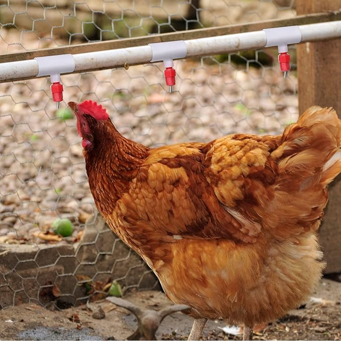 Outus 50 Pack Chicken Waterer PVC Tee Fittings, Fully Automatic Poultry Waterer PVC Fittings for Threaded Chicken Water Nipples, Cups, Drinker, Feeder, Duck, Quail, Turkey Coop Accessories, White