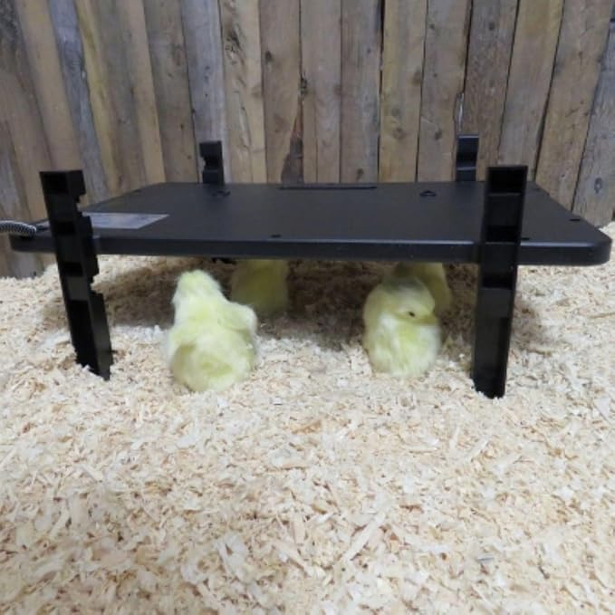 Farm Innovators 2 Pack 2-in-1 Radiant 200-Watt Chicken Coop Panel Heater Converts to 50W Brooder Heater, Freestanding, Wall-Mounted, or Horizontal Use
