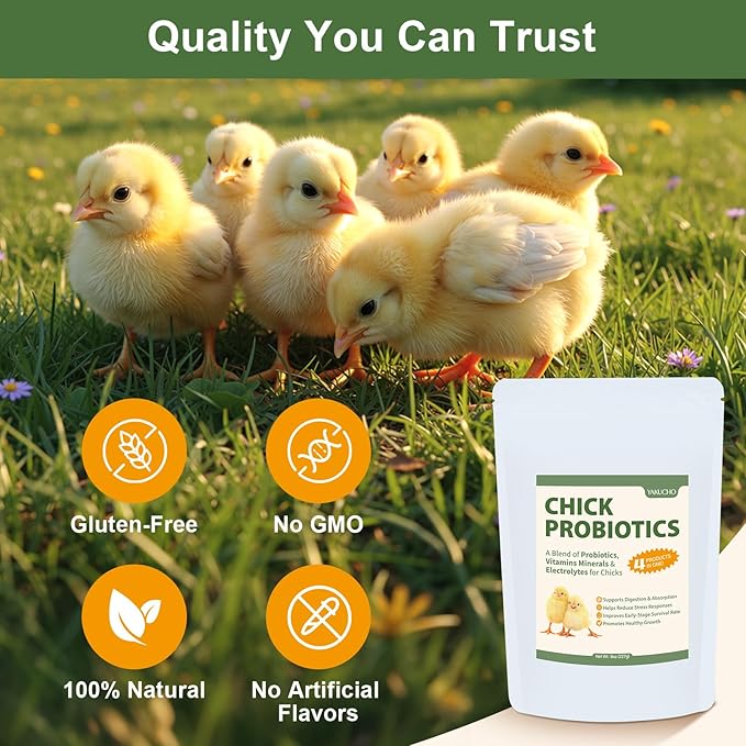 Chick Probiotics Powder, 4-in-1 Poultry Nutrition with Probiotics Vitamins Minerals & Electrolytes, Supports Digestion Hydration & Healthy Growth for Chicks, Poultry Nutrient Boost Supplements Feed