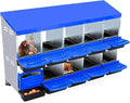 Chicken Nesting Box, 10 Hole Chicken Laying Box, 2-Tier Chicken Laying Boxes for Hens, Metal Nesting Boxes for Chicken, Roll Away Nest Box with Lid Cover for Egg Collection, Blue