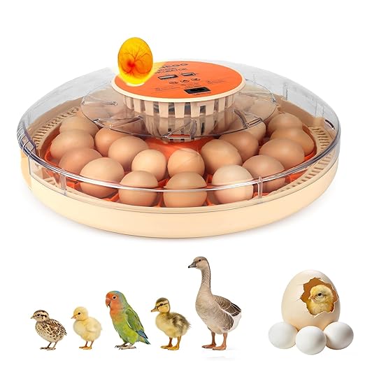 2nd Gen 30 Egg Incubator, Wide-Range Humidity with Manual Water Fill, Stable Temp Control, Dual-Size Egg Slots, Auto Egg Turning, Candler, Real-Time Display for Hatching Poultry Eggs