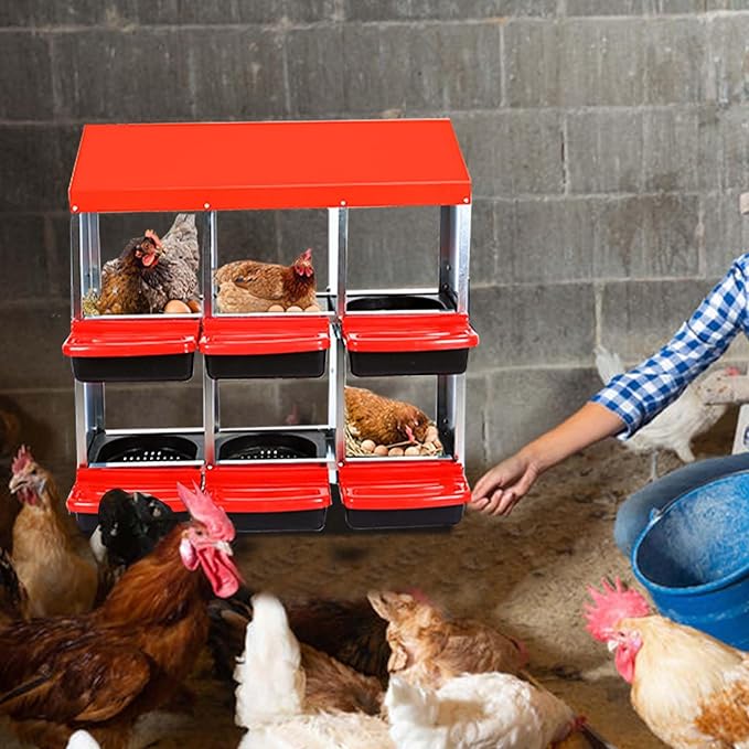 6 Compartment Metal Chicken Nesting Box – Roll Away Egg Laying Box with Lid Cover, Easy Egg Collection, Wall Mount Hen Roosting Box – Red (Without Bracket Legs, 6 Compartment Egg Laying Box)