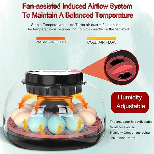12 Egg Incubator with Auto Turner, Built-in Candler & Humidity Display, Suitable for Hatching Chicken Duck Quail Bird