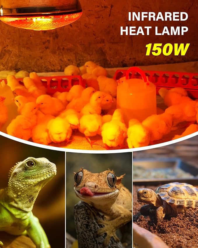 Heat Lamp Bulbs for Chickens Coop Brooder with Plug in Cord,On/Off Switch,150 Watt E26 Reptile Heat Lamp Bulb Infrared Red Light for Chicks,Birds,Ducks,Dogs,Cats