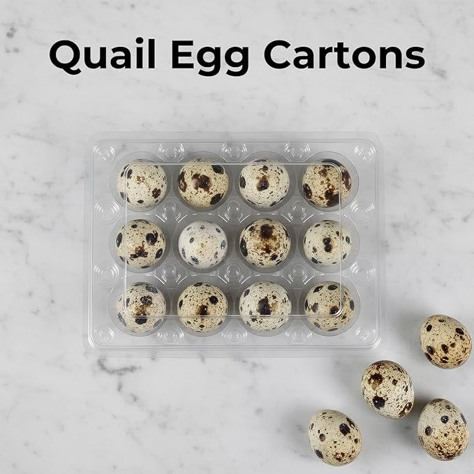 60 Pcs Quail Egg Cartons, 12 Grids Clear Plastic Square Classical 3x4 Style Egg Cartons, Quail Egg Holder Reusable Small Egg Carton Storage Holders Bulkfor Refrigerator