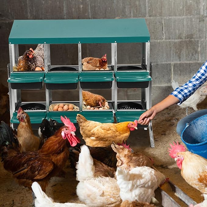Metal Chicken Nesting Box, 8 Compartments Chicken Egg Laying Box, Chicken Coop Nesting Box, Cleanable Pull Out Hen Roosting Boxes with Roll Up Design Lid, Green