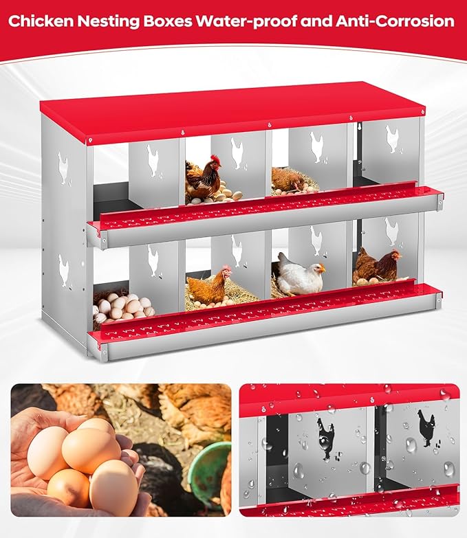 Chicken Nesting Box, 6/8/10 Compartment Metal Nesting Box,Wall Mount Chicken Nesting Boxes for Laying Eggs,Easy Egg Collection,6 Room Nest Boxes for Chickens