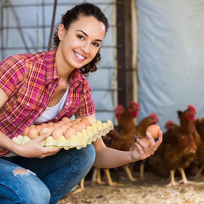 20 Flats 30-Cell Egg Crate, Sturdy and Stackable, Holds 30 Eggs, Multipurpose Use