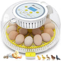 Sailnovo 18 Eggs Incubator for Hatching Eggs with Automatic Egg Turning, Humidity Level Display, Egg Candler, Hatch Days & Incubator for Chicken Eggs,Ideal for Farm,School and Lab (Yellow)