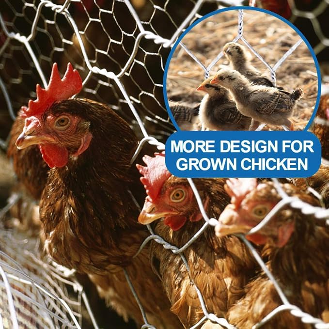 Fencer Wire 20 Gauge Galvanized Poultry Hex Netting with 2 inch Mesh