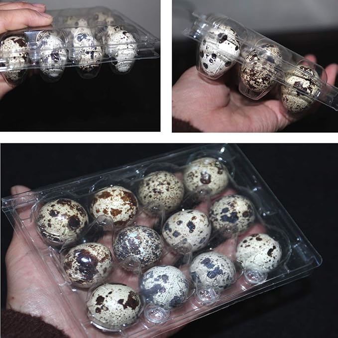 Loving Basso 100 PCS Quail Egg Cartons Plastic Bulk,12 Grids Clear Storage Holders with Lids and Rubber Band,Reusable Quail Eggs Carton Trays for Quail,Pheasant,Pigeon Eggs