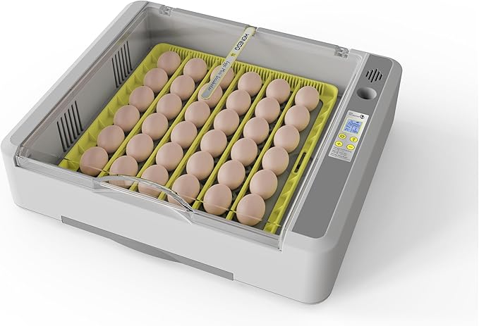 Egg Incubator for Hatching Chicks, 36 Eggs Automatic Turner with Temperature & Humidity Control, Multifunctional Ultra-Clear Panoramic View with Hatch Days & Egg Candler for Chicken, Duck, Goose, Bird