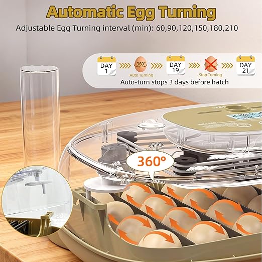 24 Incubators for Hatching Eggs, Egg Incubator with Humidity Control & Digital Temperature, Automatic Egg Turner, Hatch Day, Auto Water Refill, 360°Viewing for Chicken, Duck, Quail, Duck, Goose