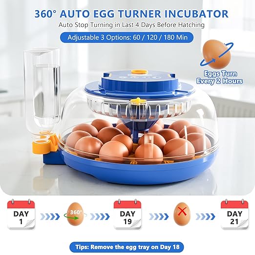 Incubators for Hatching Eggs - 18 Egg Capacity, Egg Incubator with Automatic Egg Turning and Temperature Control, Incubator for Chicken, Duck, Goose, Quail, 360° Full View, Home Farm Classroom Use