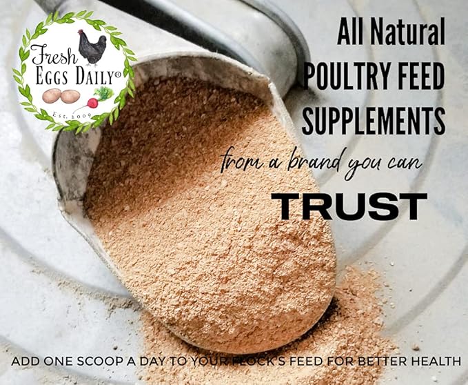Fresh Eggs Daily Poultry Probiotics Feed Supplement – Natural Digestive & Immune Support for Chickens & Ducks – Enhances Egg Quality & Reduces Odor – 6 lb