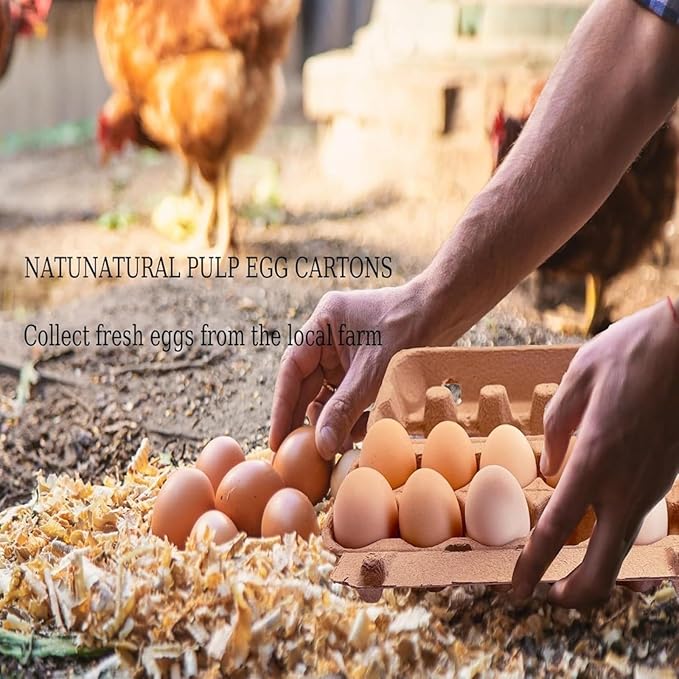Biodegradable Paper Pulp Egg Cartons for 12 Standard Eggs, Shockproof Protection with Clear Viewing Window and Snap Closure, Kitchen Storage Organizer for Farm Fresh Eggs, Refrigerator or Pantry-Use