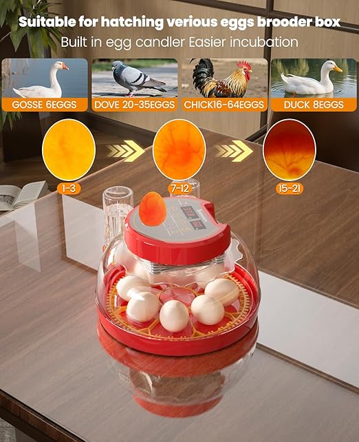 8-18 Chinken Incubators for Hatching Eggs with Automatic Egg Turning and Humidity Control Automatic Water Refill,Egg Candler Nature Right 360 Incubator Duck Quail Chick Turkey Hatching Incubator