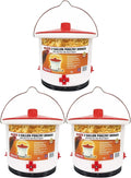 Farm Innovators 3 Pack Heated Chicken Waterer, Poultry Drinker Bucket, 2 Gallon