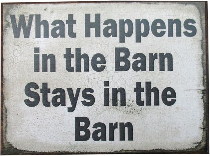 Farmisms 4x3 Inspirational Wooden Rustic Country Signs for Country Farm Living -What Happens in The Barn Stays in The Barn