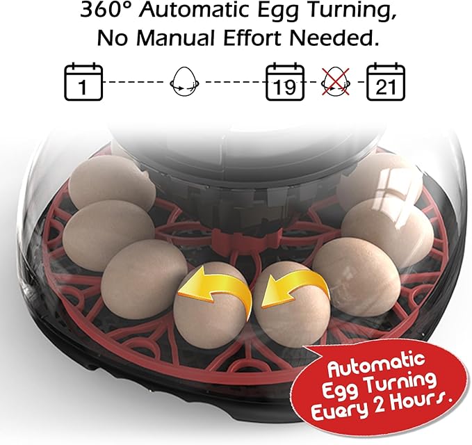 Smart Chicken Incubators for Hatching Eggs with Automatic Turner Small Poultry Duck Quail 12 Egg Incubator Temperature Control Display Hatcher Machine (M12 Pro)