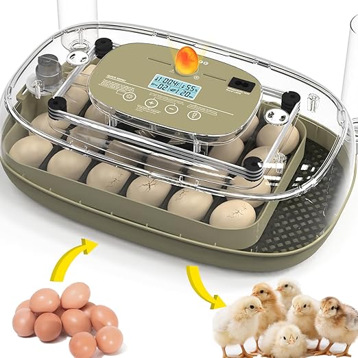 Incubators for Hatching Eggs Egg Incubator Chicken 360° Egg Candler Viewing for Chicken, Ducks, Goose, Pigeon, Quail 24 Eggs