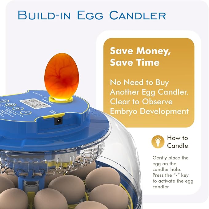 OtterVerz 11 Egg Incubators for Hatching 18-36 Chicken/Quail/Turkey Eggs, 360° View Poultry Incubator with Automatic Egg Turning and Humidity Control, Suitable for Farm, Classroom, Home