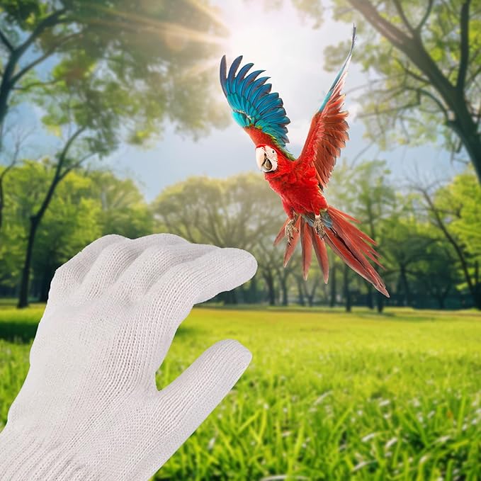Bird Training Anti-Bite Gloves, Bite Proof Gloves, Small Animal Handling Chewing Protective for Small Animal Pet（White）