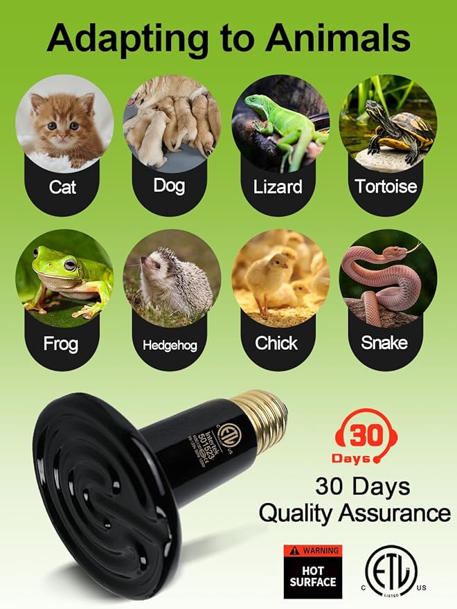 OMAYKEY 2-Pack 100W Ceramic Heat Lamp with 1-pcs Digital-Thermometer, Infrared Heat Emitter Bulbs for Reptiles, Amphibians, Chicken Brooder Coop Lizard Turtle Snake, No Light No Harm