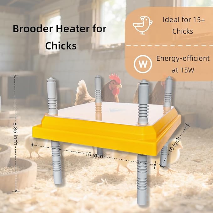 Brooder Heater for Chick Brooder Heating Plate with Easy Cleaning Plate Poulty Coop Heater Chicks Warmer 10 x 10 Inch for 15 Chicks Adjustable Height 15 Watts Chicken Duckling Quail
