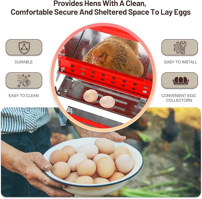 Chicken Nesting Boxes - 6 Compartment Metal Poultry Nest Box Wall Mount for Chickens, Hens, Ducks - Easy Egg Collection - Large Holes Chicken Coop Equipment (6 Compartment)