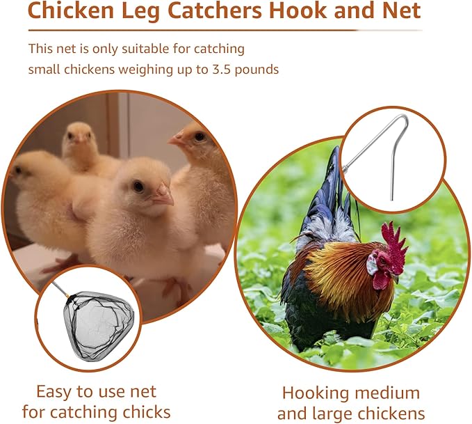 Chicken Net and Chicken Catcher Leg Hook, 2Pcs Stainless Steel Retractable Long Chicken Catcher, 16 inches Extended to 60 inches, Farm Tools for Poultry Chicken Turkeys Geese Ducks Fish