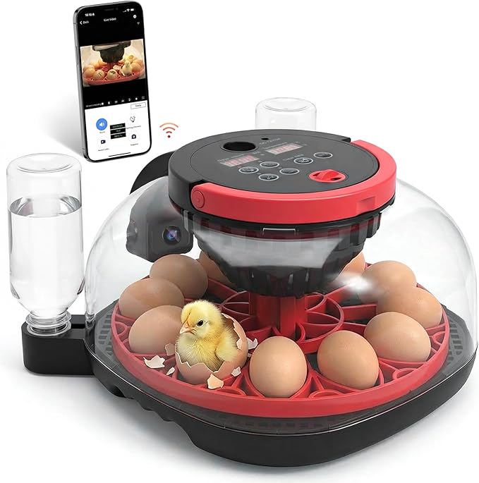 Smart Egg Incubator with WiFi APP & 1080P Camera | Auto Egg Cooling & Turner for High Hatch Rate | 18-24 Egg Capacity with Humidity Control & 360° View for Hatching Chicken/Duck/Quail