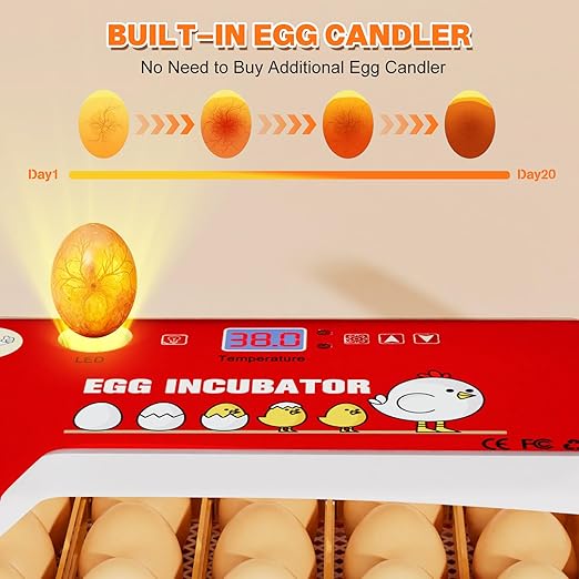 Incubators for Hatching Eggs 15-35 Eggs Incubator with Automatic Egg Turning and ℉Temperature Display LED Candler Poultry Incubator for Hatching Chicken Duck and Quail Incubator