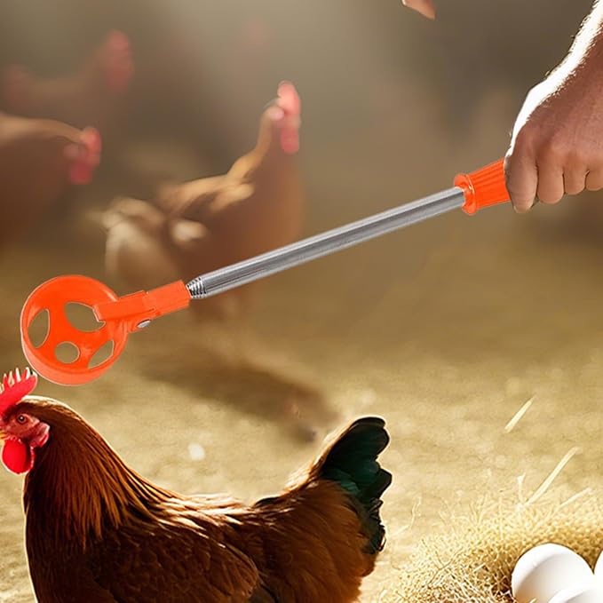 Egg Grabber Telescopic Tool - Stainless Steel, Extendable Egg Nut Collector | Long Reach Grabber For Chicken Coops Poultry Houses Farms Yards Gardens, Multi-Functional Outdoor Eggs Picker, Easy Harves