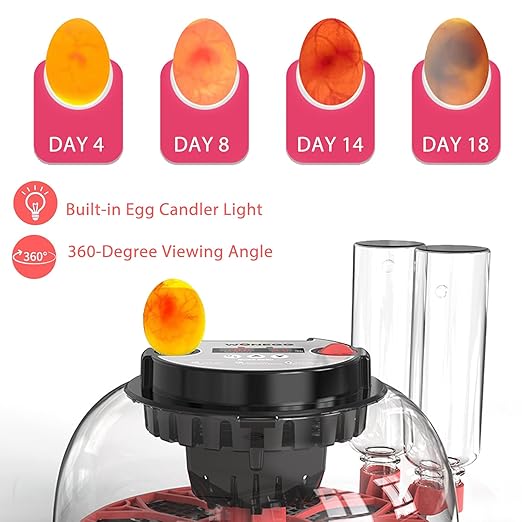 Incubators for Hatching Eggs, 12 Egg Incubator with Automatic Egg Turning and Humidity Control, 360° View Incubadora De Huevos De Gallina, Egg Candler, Incubator for Chicken Eggs, Ducks, Goose, Quail