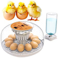 Okkobi M12 Egg Incubator with Automatic Turner and Humidity Control - 12/24 Eggs, 360° View, Easy to Use and Clean - Incubadora de Huevos de Gallina - Made for US - White & Orange