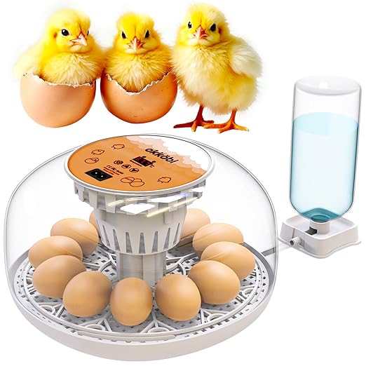 Okkobi M12 Egg Incubator with Automatic Turner and Humidity Control - 12/24 Eggs, 360° View, Easy to Use and Clean - Incubadora de Huevos de Gallina - Made for US - White & Orange