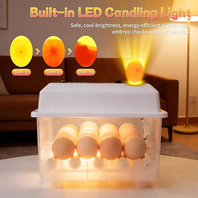 Incubators for Hatching Egg 16Eggs Digital Temperature Control Egg Candler and Alarm, External Water Port, Auto Egg Turning & 360°Air Circulation System for Chicken Coop, Duck, Goose & Quail Eggs